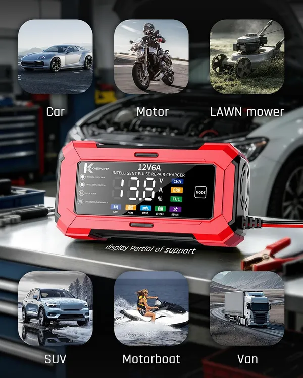 Cargador inteligente 12V 6A